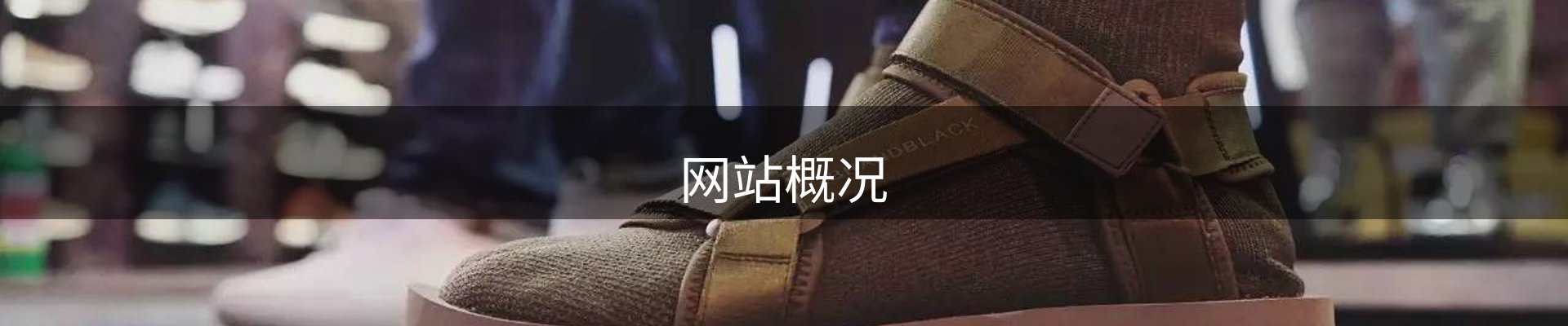 网站概况